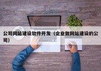 公司网站建设软件开发（企业做网站建设的公司）