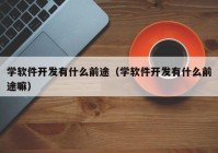 学软件开发有什么前途（学软件开发有什么前途嘛）