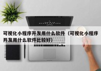 可视化小程序开发用什么软件（可视化小程序开发用什么软件比较好）