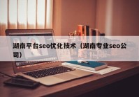 湖南平台seo优化技术（湖南专业seo公司）