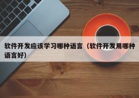 软件开发应该学习哪种语言（软件开发用哪种语言好）