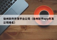 徐州软件开发平台公司（徐州软件app开发公司排名）