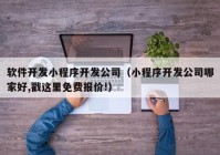 软件开发小程序开发公司（小程序开发公司哪家好,戳这里免费报价!）