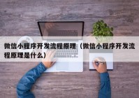 微信小程序开发流程原理（微信小程序开发流程原理是什么）