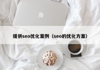 提供seo优化案例（seo的优化方案）