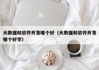 大数据和软件开发哪个好（大数据和软件开发哪个好学）