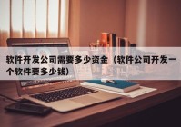 软件开发公司需要多少资金（软件公司开发一个软件要多少钱）