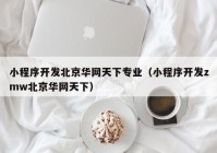 小程序开发北京华网天下专业（小程序开发zmw北京华网天下）