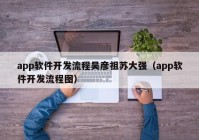 app软件开发流程吴彦祖苏大强（app软件开发流程图）