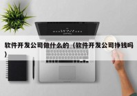 软件开发公司做什么的（软件开发公司挣钱吗）