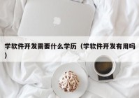 学软件开发需要什么学历（学软件开发有用吗）