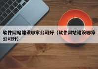 软件网站建设哪家公司好（软件网站建设哪家公司好）