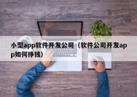 小型app软件开发公司（软件公司开发app如何挣钱）