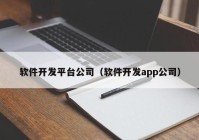 软件开发平台公司（软件开发app公司）