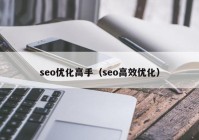 seo优化高手（seo高效优化）