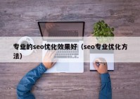 专业的seo优化效果好（seo专业优化方法）