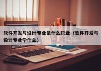 软件开发与设计专业是什么职业（软件开发与设计专业学什么）